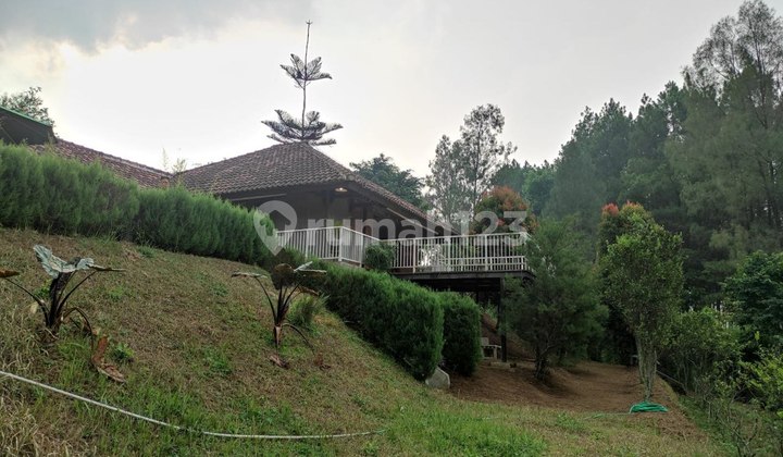 Villa in Tlogosari Tutur Nongkojajar Pasuruan Villa in Tlogosari Tutur Nongkojajar Pasuruan