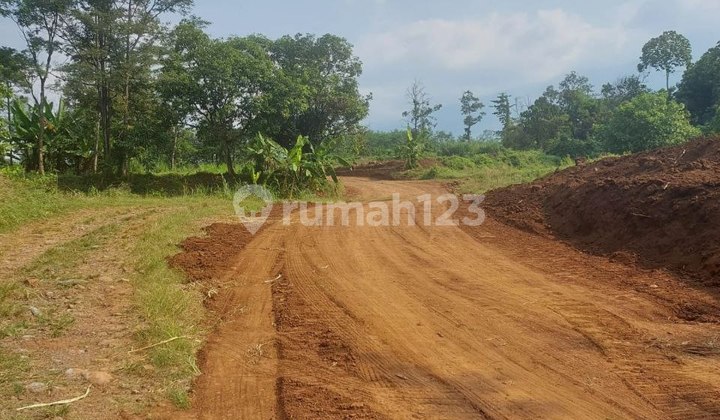 Tanah Uruk Daerah Gunting Sukorejo Pasuruan Tanah Uruk Daerah Gunting Sukorejo Pasuruan
