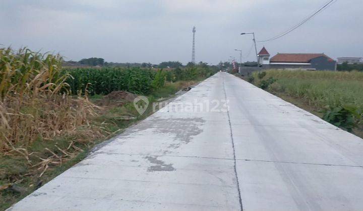 Dijual Tanah Sawah Jetis Mojokerto Harga Nego  2