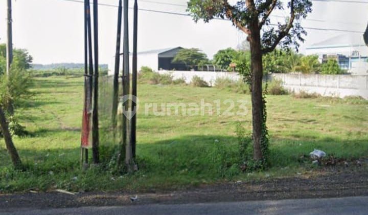 For Sale Filled Land Jl Raya Pati Juwana Central Java For Sale Filled Land Jl Raya Pati Juwana Central Java