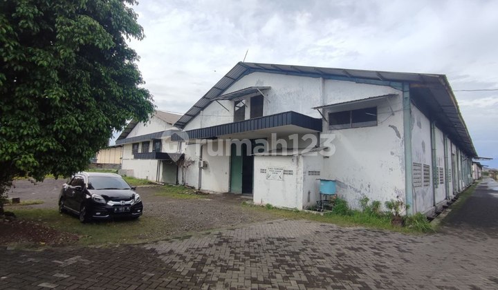 Gudang Tambak Sawah Sidoarjo Dekat Akses Tol Rungkut