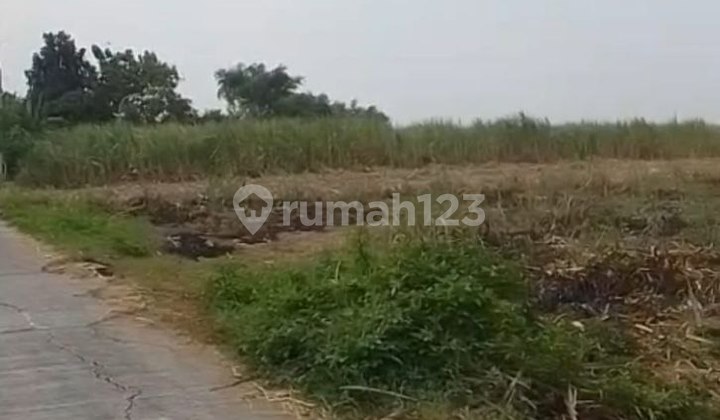 Tanah Perumahan Mojokerto Dekat Akses Tol Gedeg Mojokerto