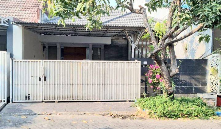 Disewakan Rumah Pondok Tjandra Indah Dekat Merr  1