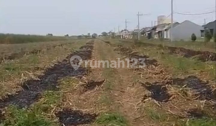 Tanah Perumahan Mojokerto Dekat Akses Tol Gedeg Mojokerto