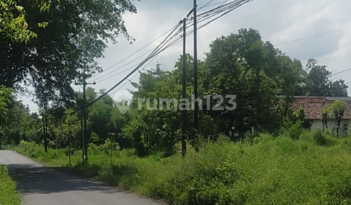 For Sale Land Location Rembang Pasuruan Main Road