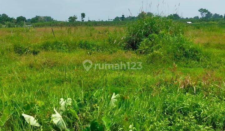 Dijual Tanah Ngoro Mojosari Mojokerto Harga Nego  2