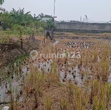 Di Jual Tanah Kavling Lokasi Sangat Strategis di Jalan Utama Duta Garden Di Jual Tanah Kavling Lokasi Sangat Strategis di Jalan Utama Duta Garden