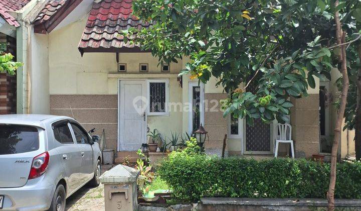 Di Jual Cepat Rumah Di Cluster Flamboyan Alam Sutera  2