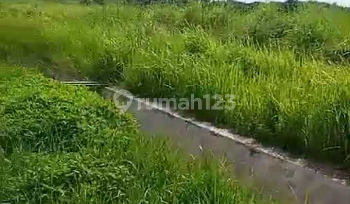 LAHAN / TANAH INDUSTRI/GUDANG Kragilan kab serang LT 40Ha  1