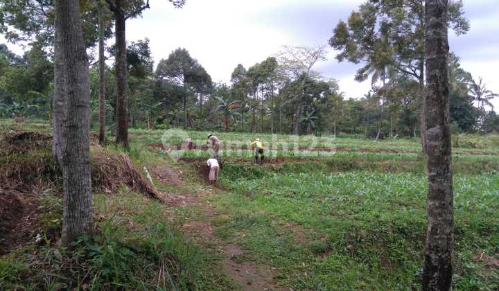 Wts | Jual Cepat Kavling Nempel Rancamaya, Samping Tol Harga Dibawah NJOP Wts | Jual Cepat Kavling Nempel Rancamaya, Samping Tol Harga Dibawah NJOP