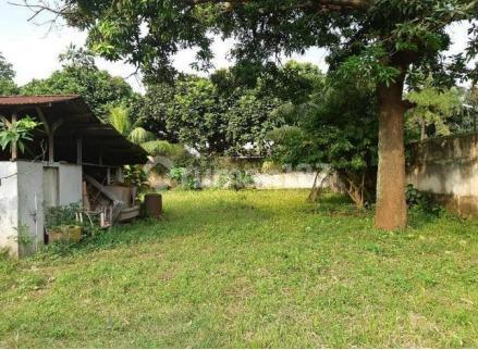 Tanah, di Pasar Minggu dengan Luas 3100