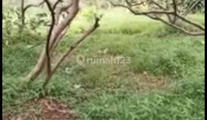 Dijual Kavling Luas jalan batugede Cilebut Bogor 5