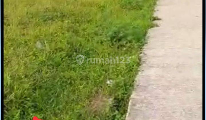 Kavling Perumahan Murah Vinca VI &
Vinca VIII Tanah baru bogor 3