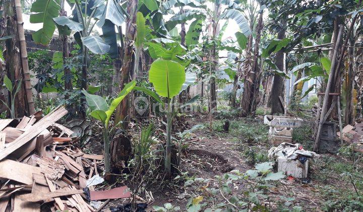 Tanah murah pinggir jalan raya bogor baru dekat Pandu Raya 4