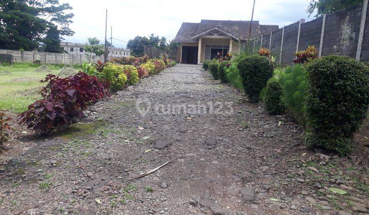 Nego keras!! Tanah luas Pinggir Jln Raya Kapten Yusuf Ciapus 2