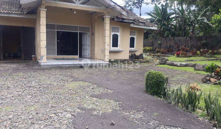 Nego keras!! Tanah luas Pinggir Jln Raya Kapten Yusuf Ciapus 6