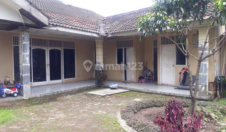Nego keras!! Tanah luas Pinggir Jln Raya Kapten Yusuf Ciapus 17