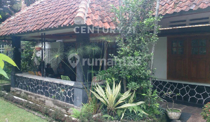 Rumah Asri Dekat Kebun Raya Bogor Di Taman Kencana (n) Rumah Asri Dekat Kebun Raya Bogor Di Taman Kencana (n)