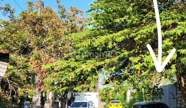 2km Ke Pantai Kuta, Jual Cepat 30% Dibawah Harga Pasar 2