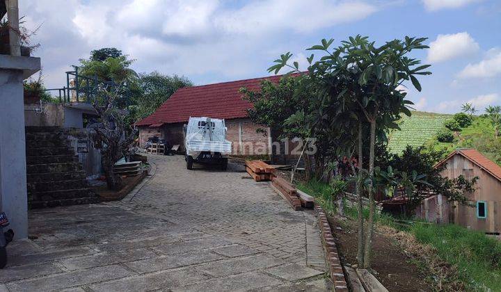 Dijual Warung Bakso Di Jengkoang Batu Jawa Timur 8