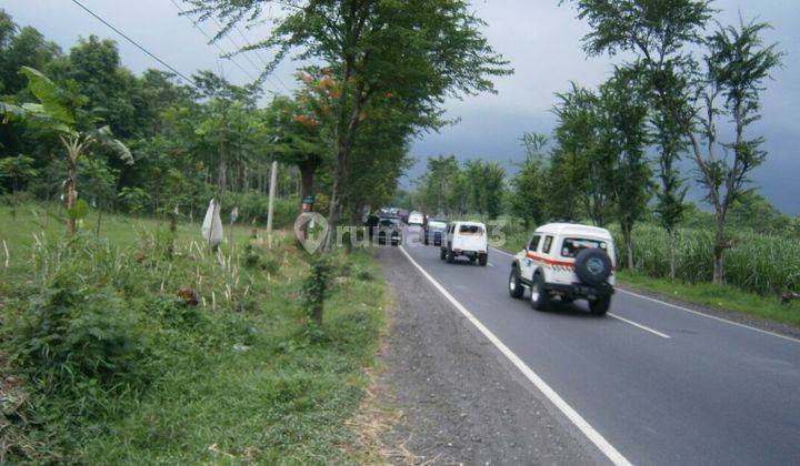 Tanah Daerah Jalan Raya Probolinggo Lumajang 1