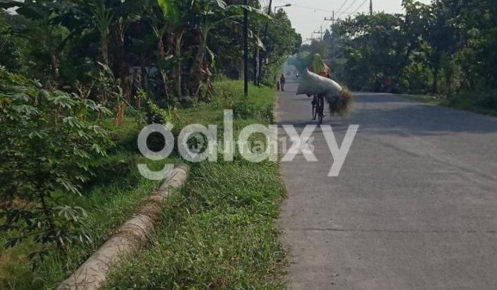 Tanah Jalan Raya Wonodadi Kutorejo Mojokerto 2