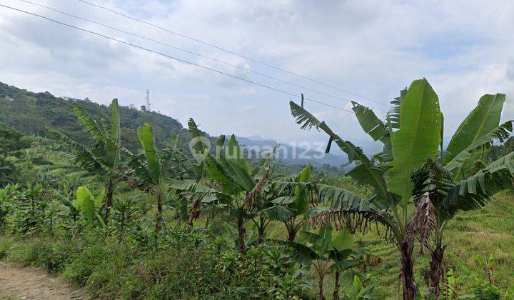 Tanah Kebun Dekat Bogor Residence 2