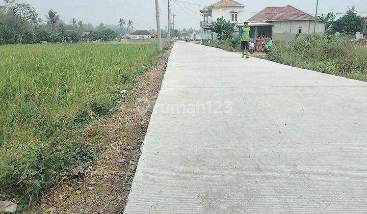 Sawah Producktiv Di Jual 1