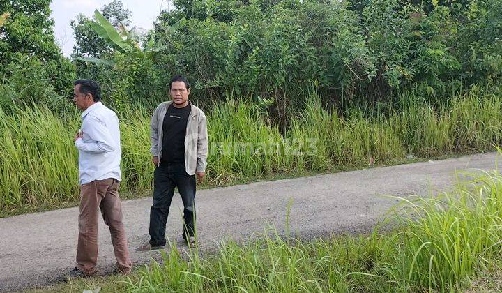 Tanah di jual 4