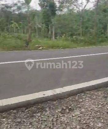 Tanah luas untuk kebun. Gudang dan kandang ternak di jual 1