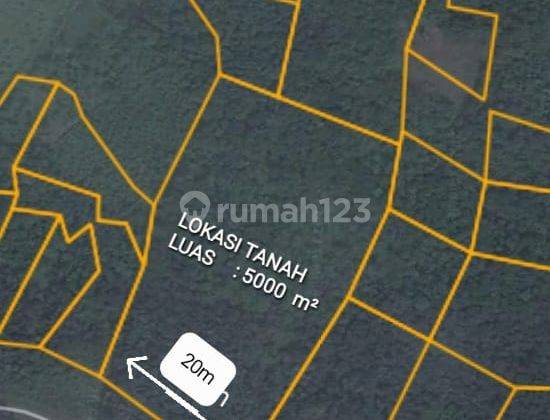 Tanah kebun cck untuk kandang ternak unggas di jual 1