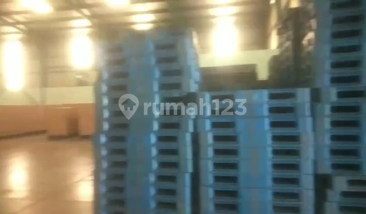 Pabrik, 1 Lantai, SHM, di Rangkasbitung,