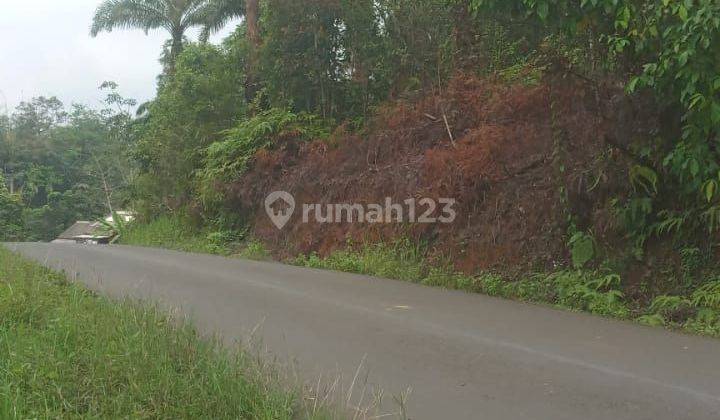 Di Jual Tanah Kebun 1