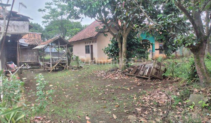 Tanah di Semplak Atang Senjaya Kabupaten Bogor, SHM 11.000 m² 4