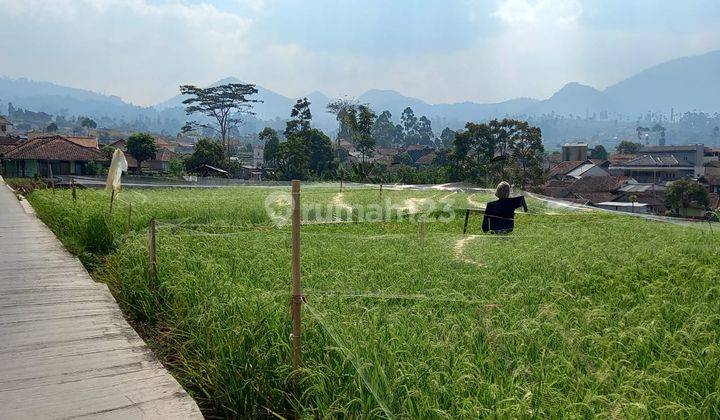 Tanah Pertanian Aktif Mainroad Ciwidey 1