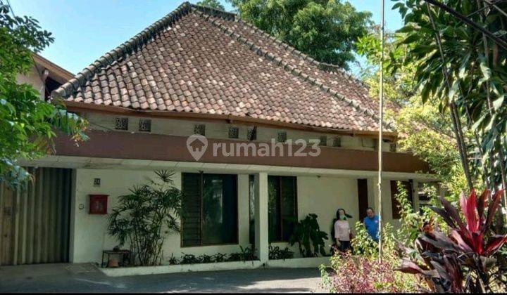 Rumah Jadoel Bawa Hokie Sayap Jalan Riau 1