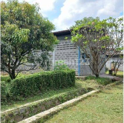 Tanah Murah Jual Cepat Mainroad Batujajar Cimareme Bonus Pabrik 2