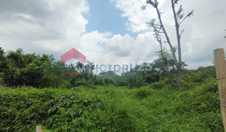 Land Plot Ready to Build with Lawang View Tea Garden Highway Access