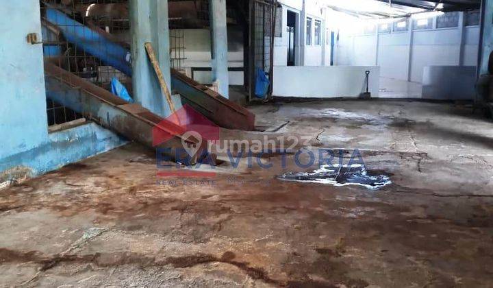 Pabrik Lengkap Dengan Mesin Produksi Es Batu, Sarden Di Muncar Banyuwangi 5