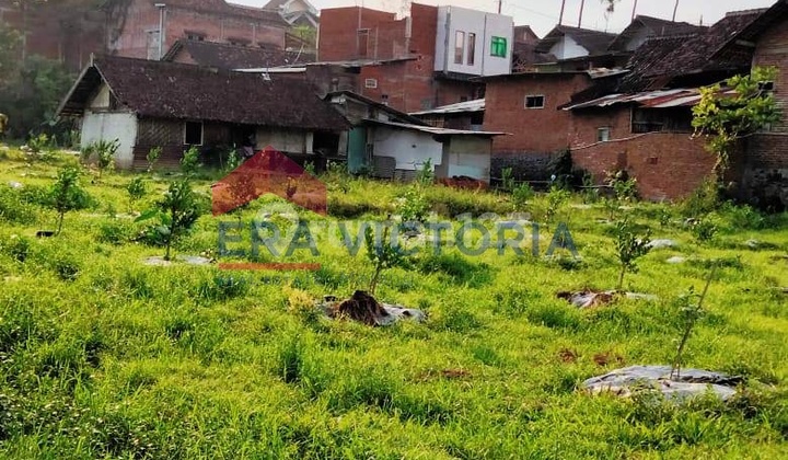 Tanah Luas 2011 Di Jalan Mojowarno Batu, 3 Mnt Ke Poros IR Sukarno