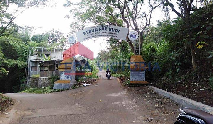 Tanah Luas 1.653 M Di Jalan Masuk Kebun Pak Budi Sekarmojo Pasuruan 3