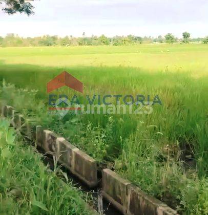 Tanah Luas Di Jalan Raya Situbondo Banyuwangi, Dekat Alun Alun Kapongan 3