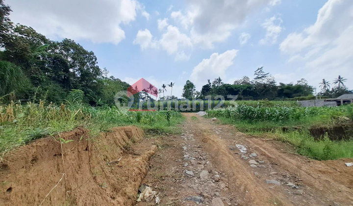 Tanah Dekat Pasar Tajinan, Taman D'embung Park Cocok untuk Rumah, Kantor Tanah Dekat Pasar Tajinan, Taman D'embung Park Cocok untuk Rumah, Kantor