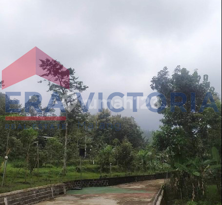 Asri Villa Cool Mountain Area & Charming Natural View Near Selolapis Waterfall