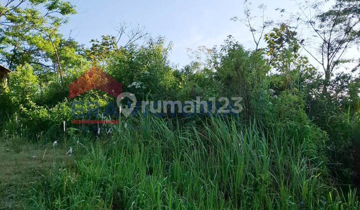 Tanah Strategis Dekat Burbank Coffee Cocok Bangun Café Hits & Tempat Nongkrong Kekinian