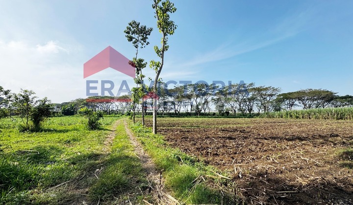 Cuan Maksimal! Kavling Siap Bangun Dekat Exit Tol & Pusat Kuliner