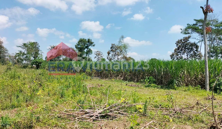 Strategic Land Near Semeru Tourism, Suitable for Plantation & Livestock.