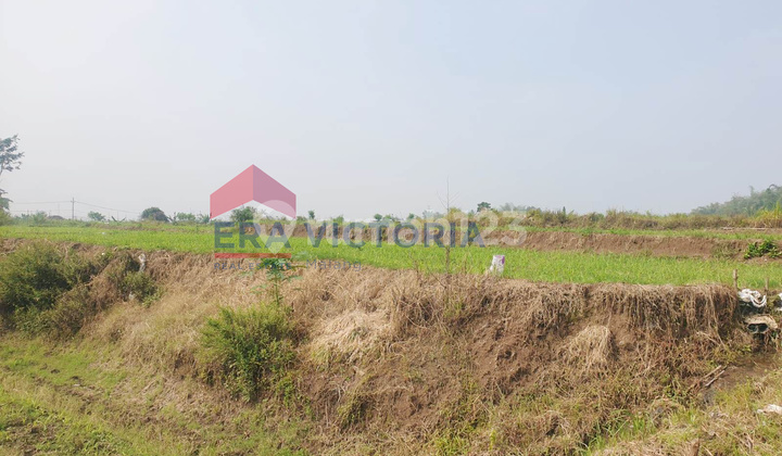 Tanah Strategis di Kota Dekat PG Kebonagung, Jl. Pakis & S. Supriadi