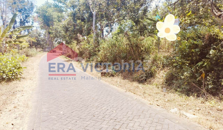 Tanah Luas Dekat Wisata Bakti Alam Cocok untuk Peternakan & Perkebunan Tanah Luas Dekat Wisata Bakti Alam Cocok untuk Peternakan & Perkebunan