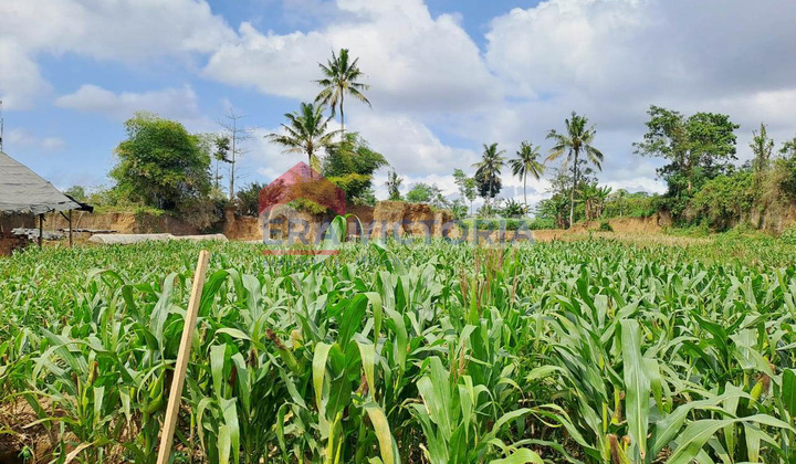Tanah Strategis Dekat Pesantren & Pasar Tajinan Investasi Tepat